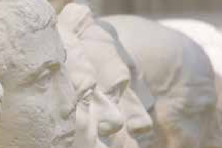 Mehrere Köpfe von Marmorskulpturen im Profil